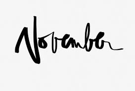NOVEMBER GOALS